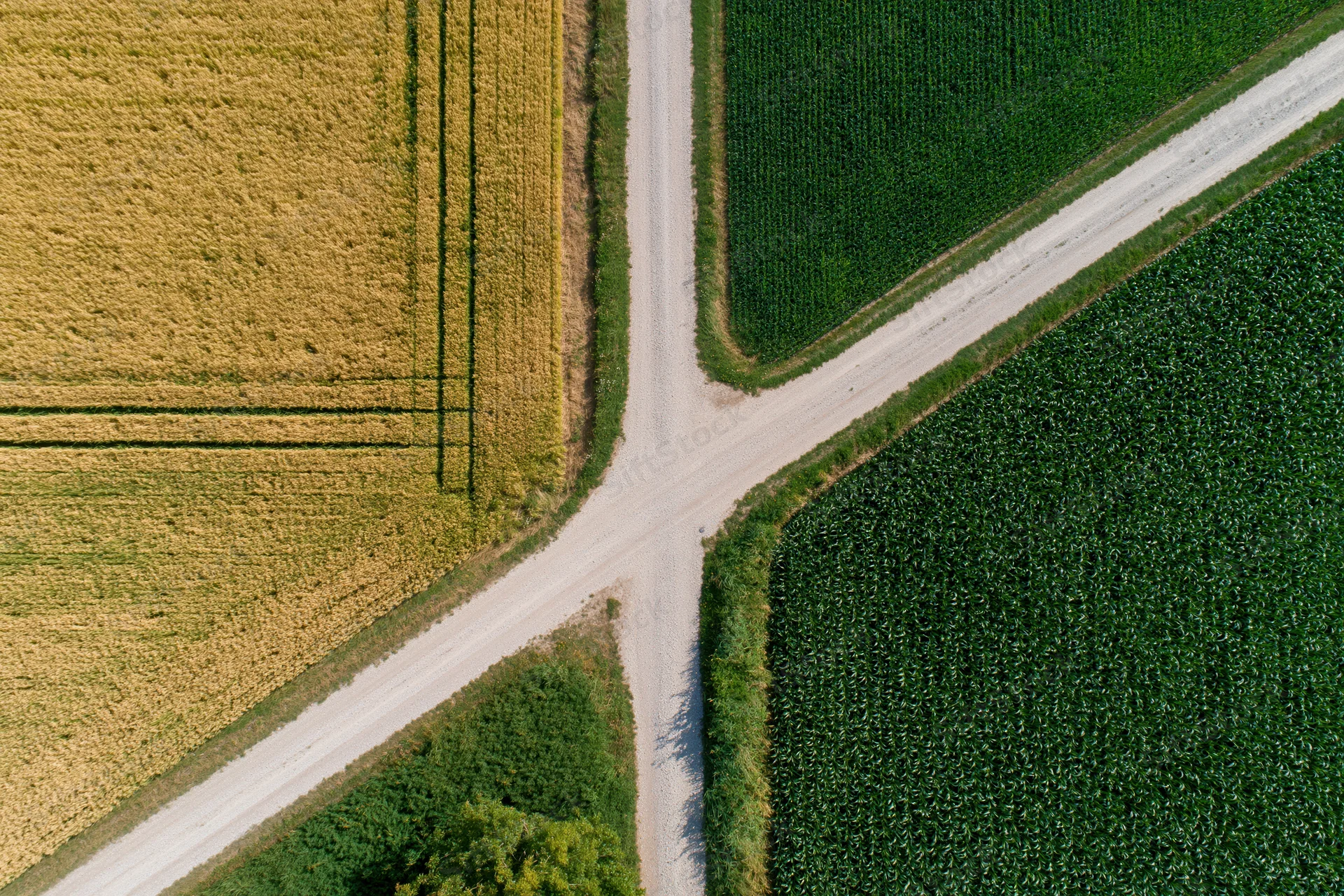 Aerial top-down view of rural crossroads with intersecting dirt roads dividing golden and green crop fields