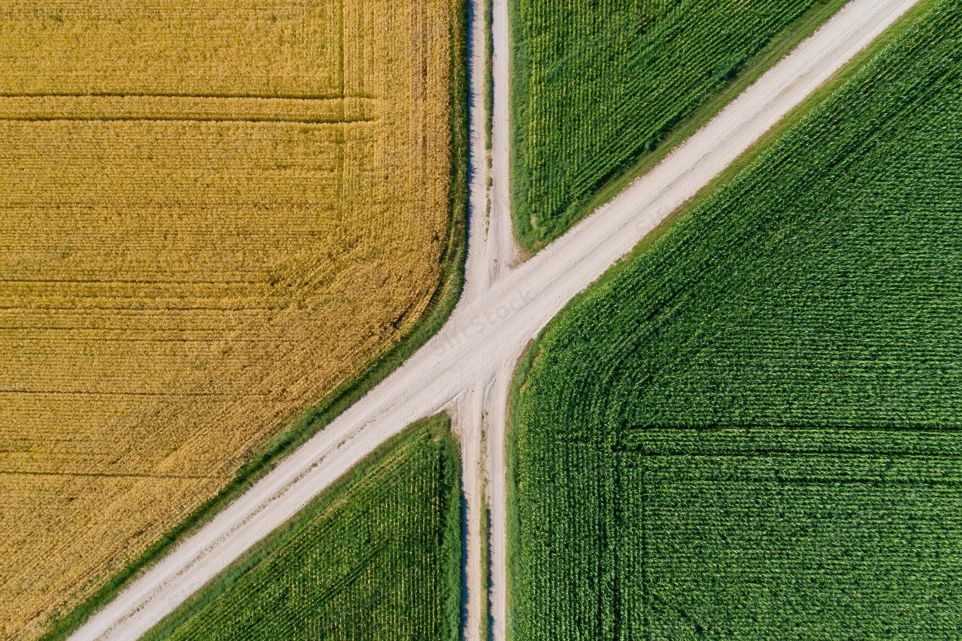 Aerial top-down view of a rural crossroads with intersecting dirt roads dividing golden and green crop fields