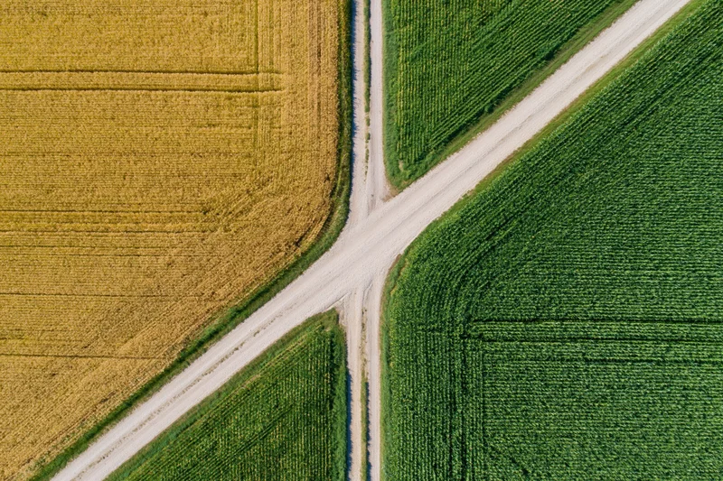 Aerial top-down view of a rural crossroads with intersecting dirt roads dividing golden and green crop fields