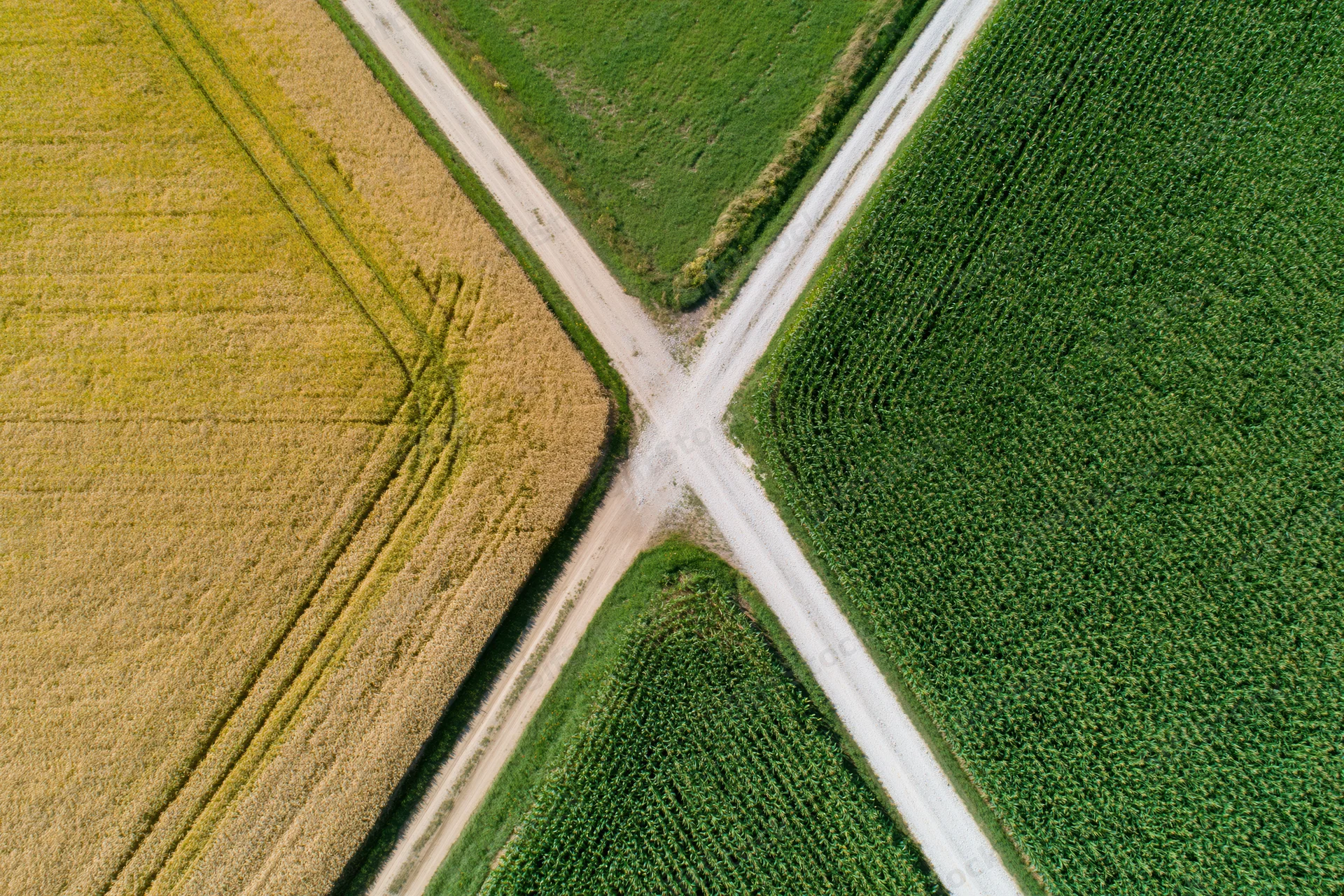 Aerial top-down view of rural crossroads with intersecting dirt roads dividing green and golden crop fields