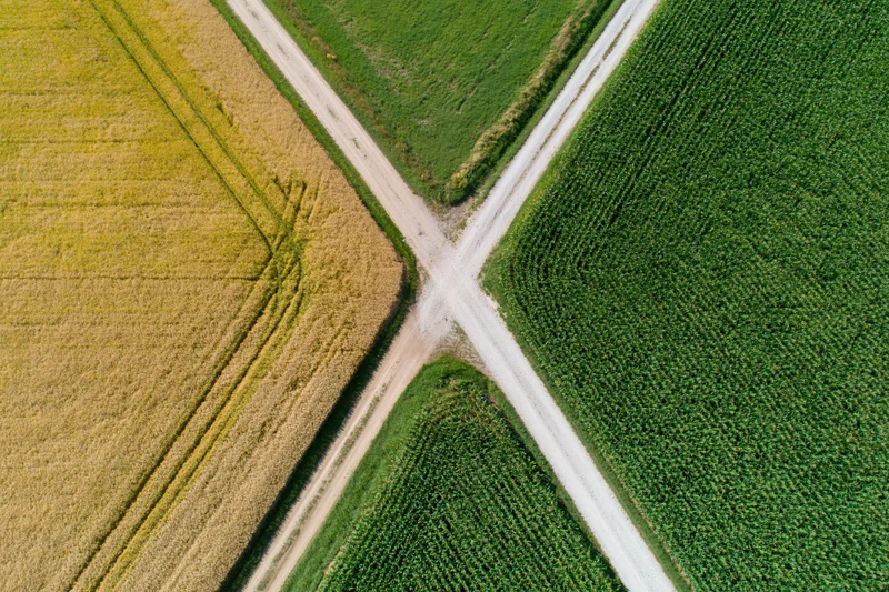 Aerial top-down view of rural crossroads with intersecting dirt roads dividing green and golden crop fields