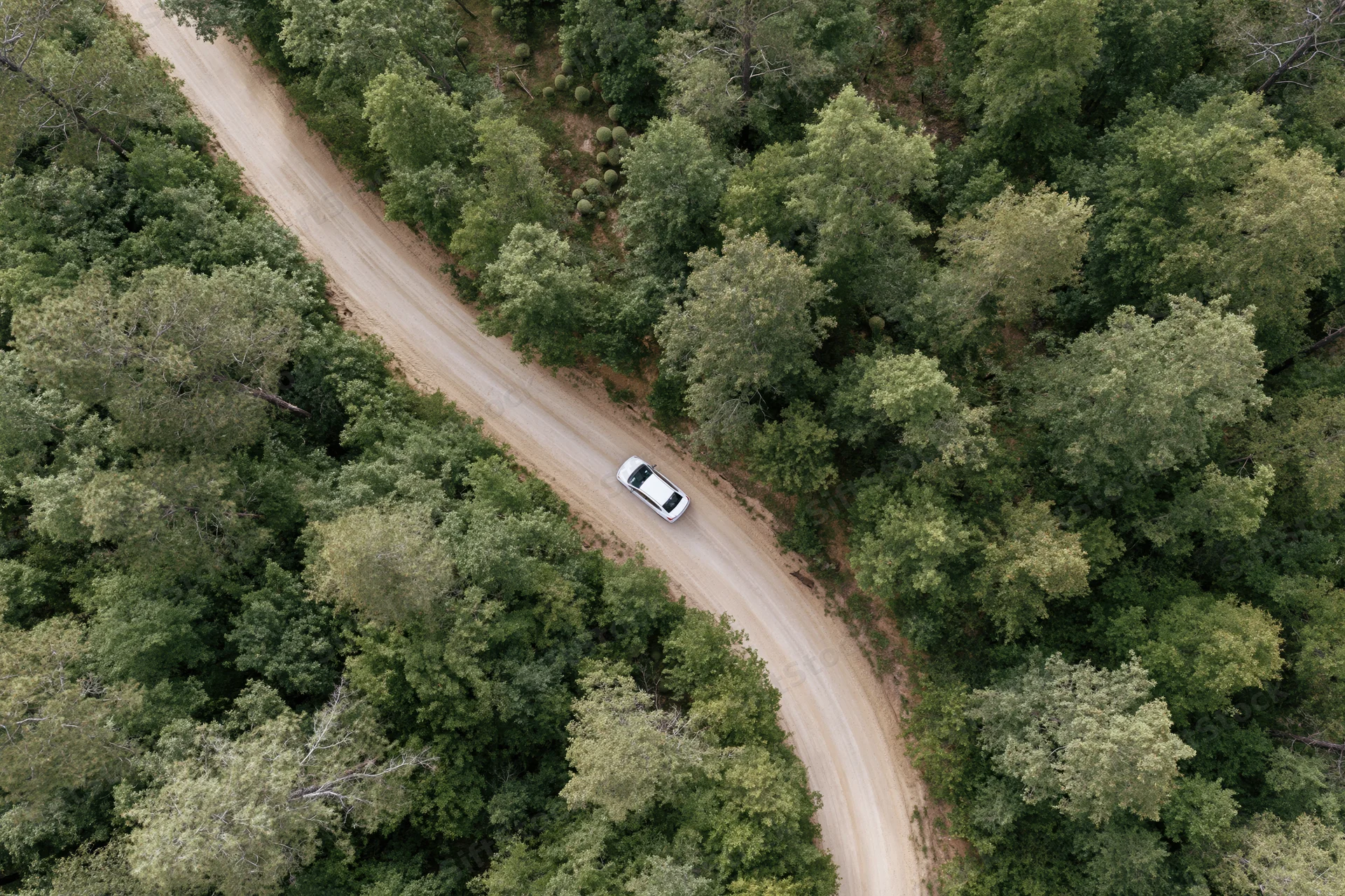 White car driving on winding dirt road through dense forest from aerial top-down view