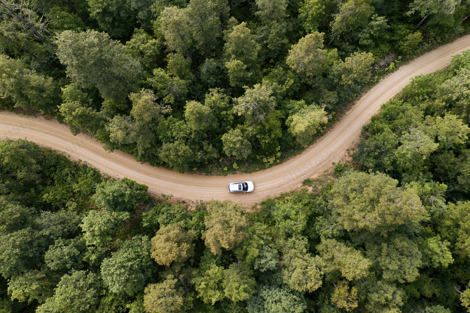 White car driving on winding dirt road through dense forest from aerial top-down view