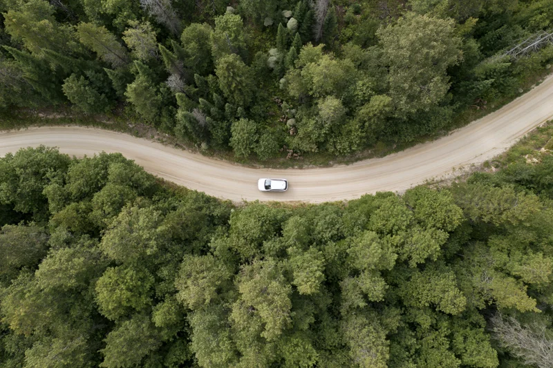 White car driving along winding dirt road through dense forest from aerial top-down view