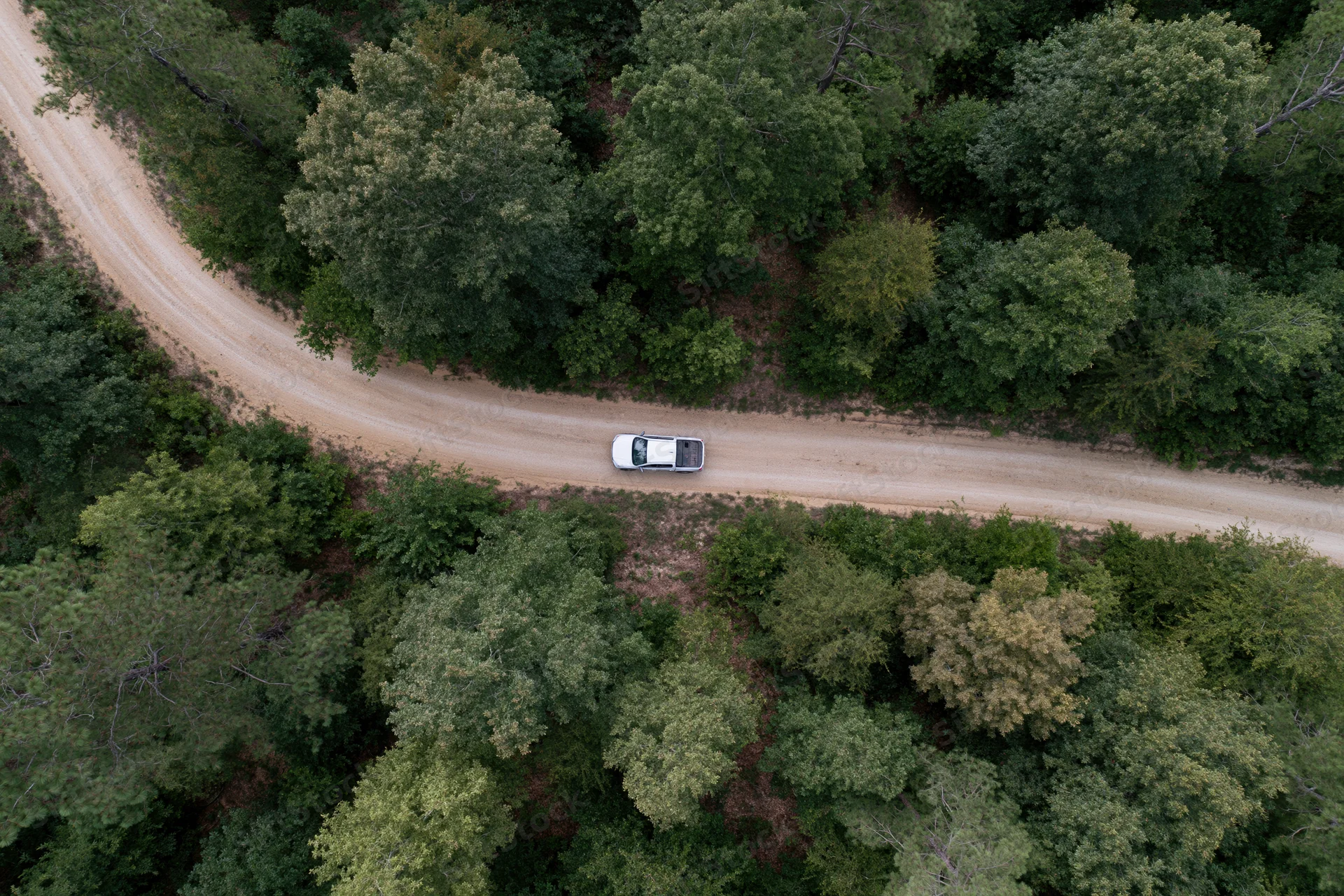 White car driving along winding dirt road through dense forest from aerial top-down view