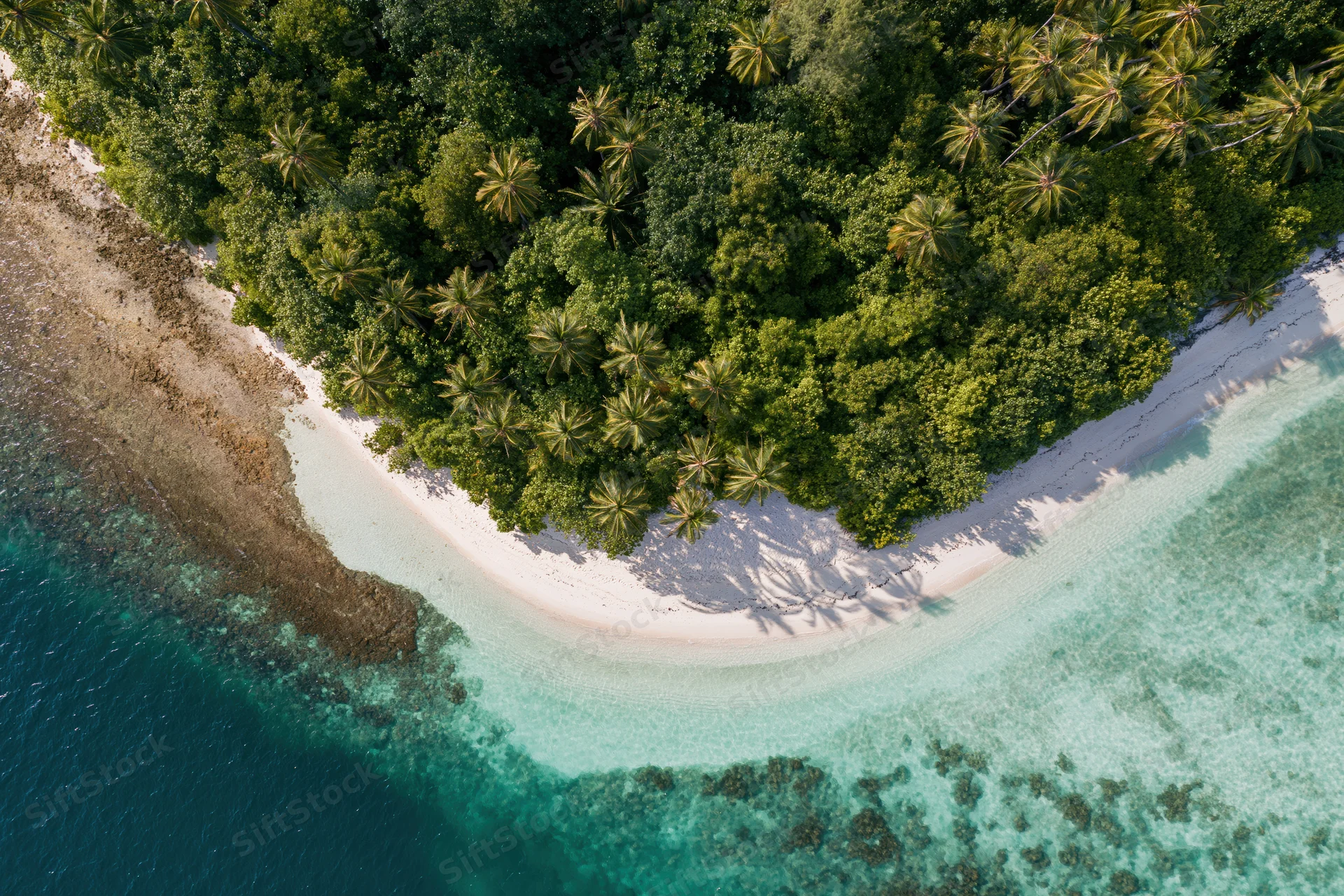 Aerial top-down view of a tropical peninsula with dense jungle, white sand beach, and turquoise ocean water