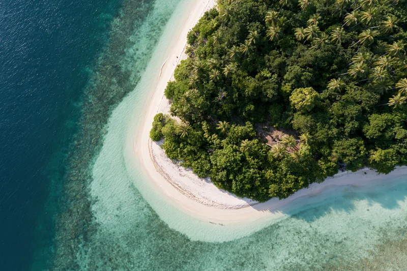 Aerial view of a tropical island with white sand beach and dense palm forest bordering turquoise ocean
