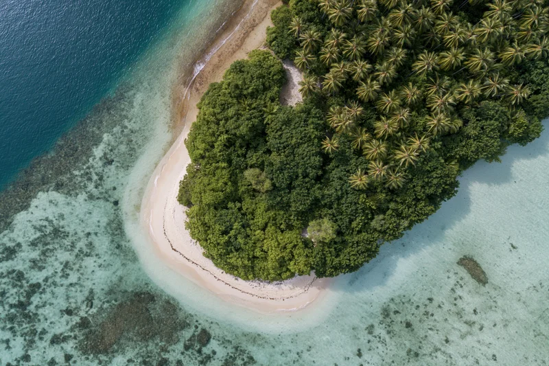 Aerial top-down view of a small tropical peninsula with dense palm forest and white sand beach surrounded by turquoise ocean and coral reef
