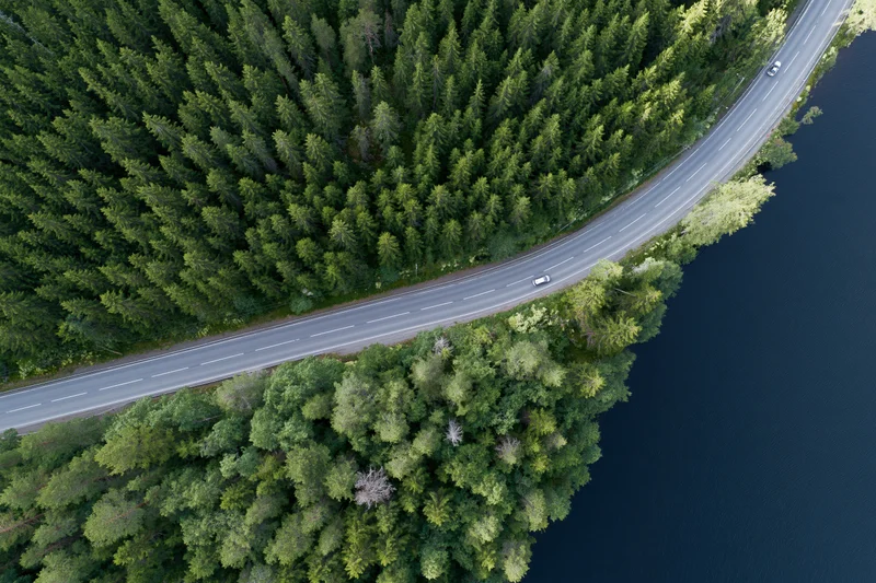 Aerial top-down view of a winding two-lane road through dense forest alongside a dark lake