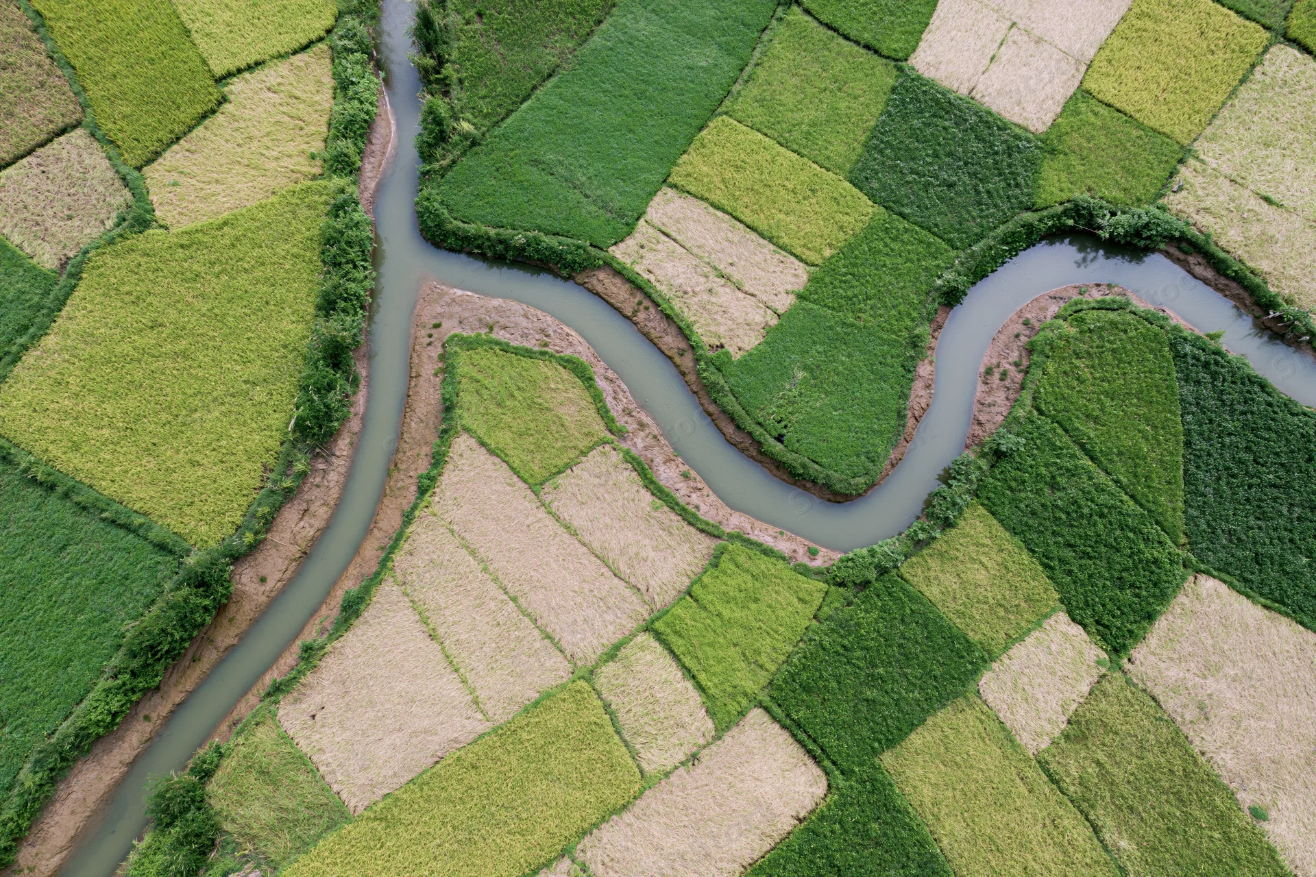 Winding river snaking through patchwork rice fields from aerial view