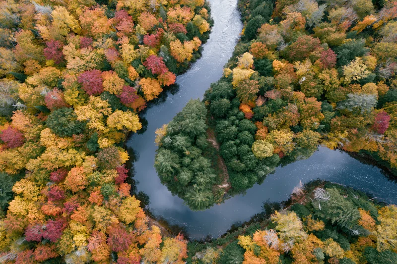 Aerial view of a winding river cutting through a colorful autumn forest