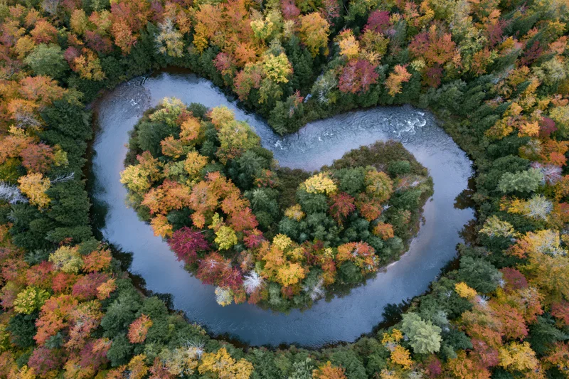 Aerial top-down view of a river forming a heart shape around a forested island in autumn foliage