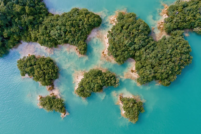 Aerial top-down view of scattered small forested islands in turquoise ocean water
