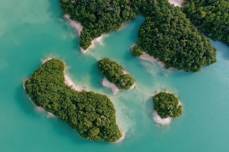 Aerial top-down view of scattered small forested islands in turquoise water