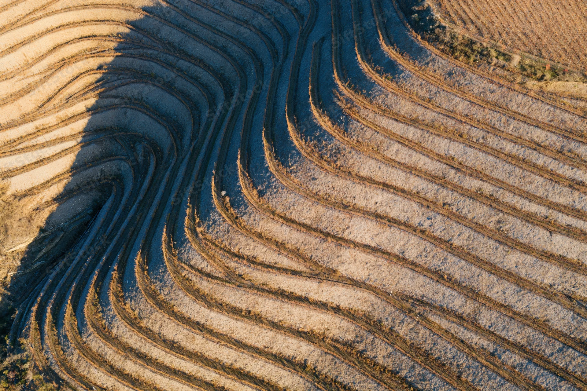 Aerial top-down view of terraced vineyard hillsides with contour plowed soil patterns