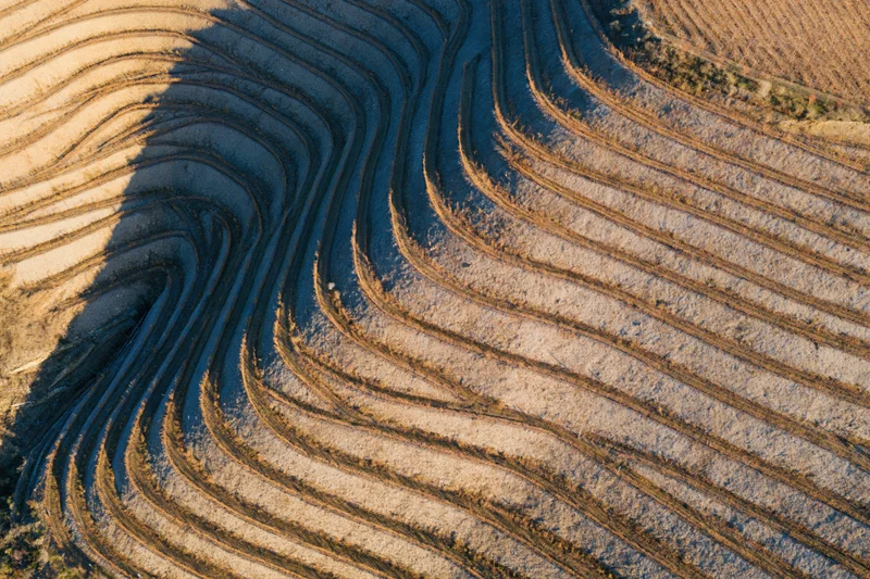 Aerial top-down view of terraced vineyard hillsides with contour plowed soil patterns