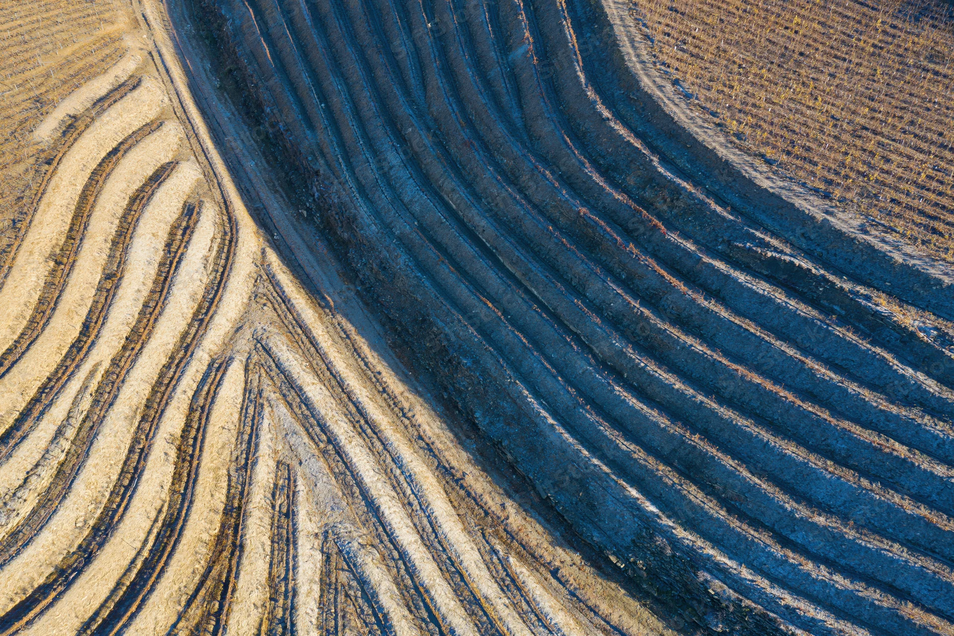 Aerial top-down view of terraced vineyard hillsides with curved rows and earthy soil patterns
