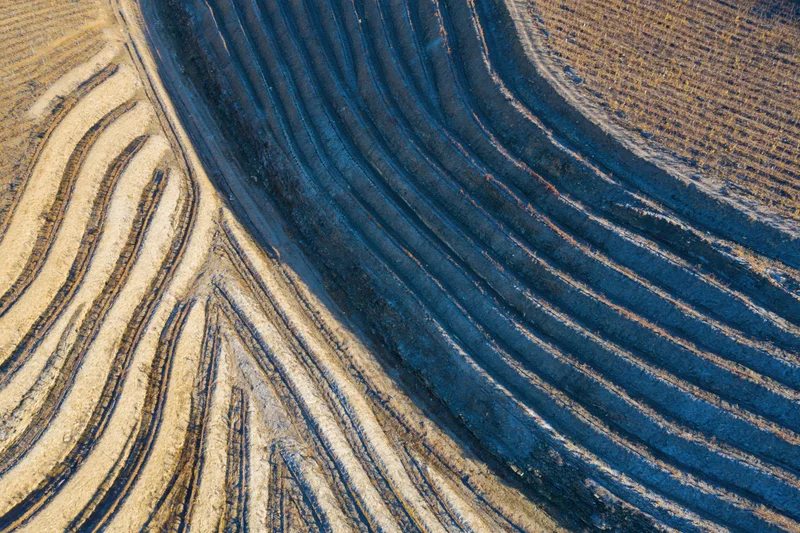 Aerial top-down view of terraced vineyard hillsides with curved rows and earthy soil patterns