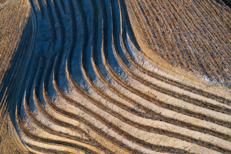 Aerial top-down view of terraced vineyard hillsides with curved furrows and plowed soil patterns
