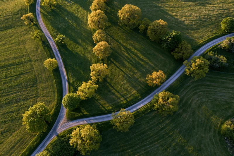 Aerial top-down view of winding narrow country roads intersecting in a green rural landscape with trees and fields