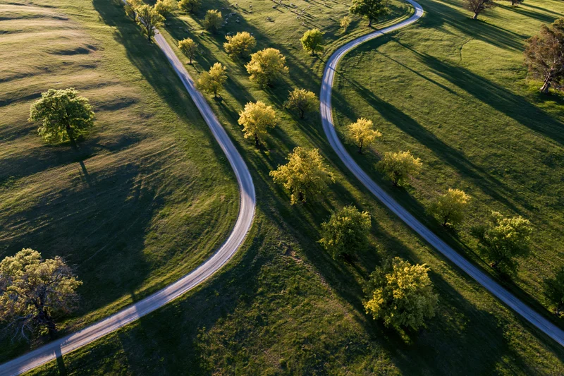 Aerial view of winding narrow country roads through green fields with scattered trees in spring
