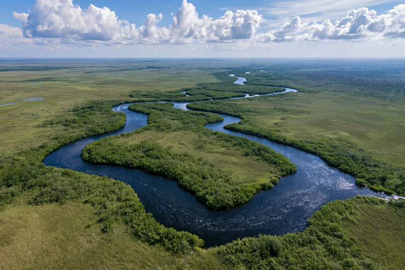 Aerial view of meandering river through florida everglades wetlands
