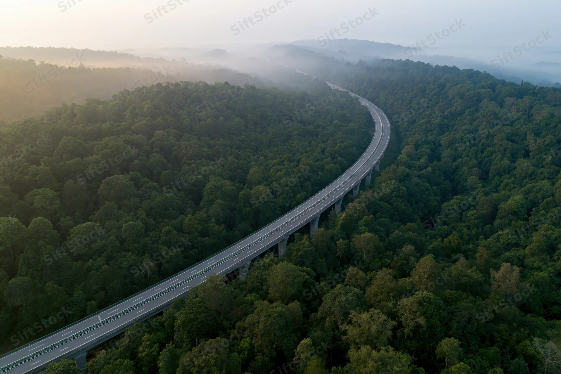 Aerial view of a curved elevated highway viaduct winding through a dense green forest at dawn