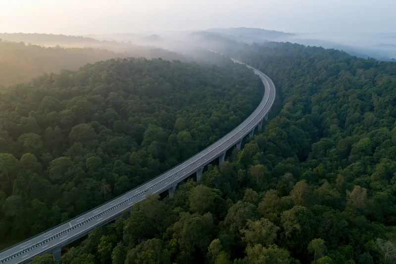Aerial view of a curved elevated highway viaduct winding through a dense green forest at dawn