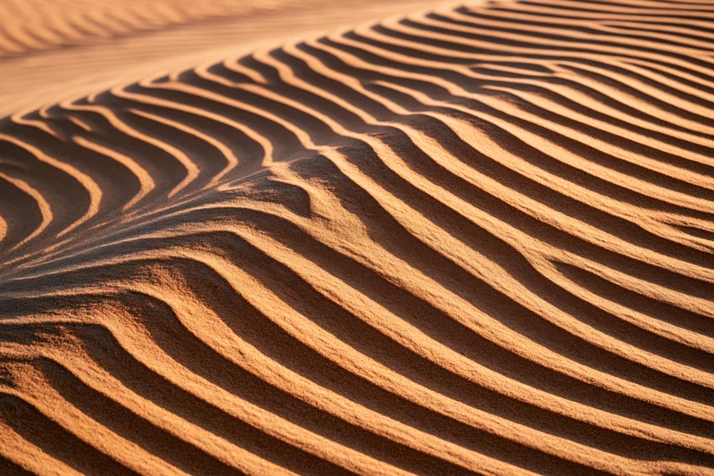 Wind-rippled sand dunes forming natural patterns in desert landscape