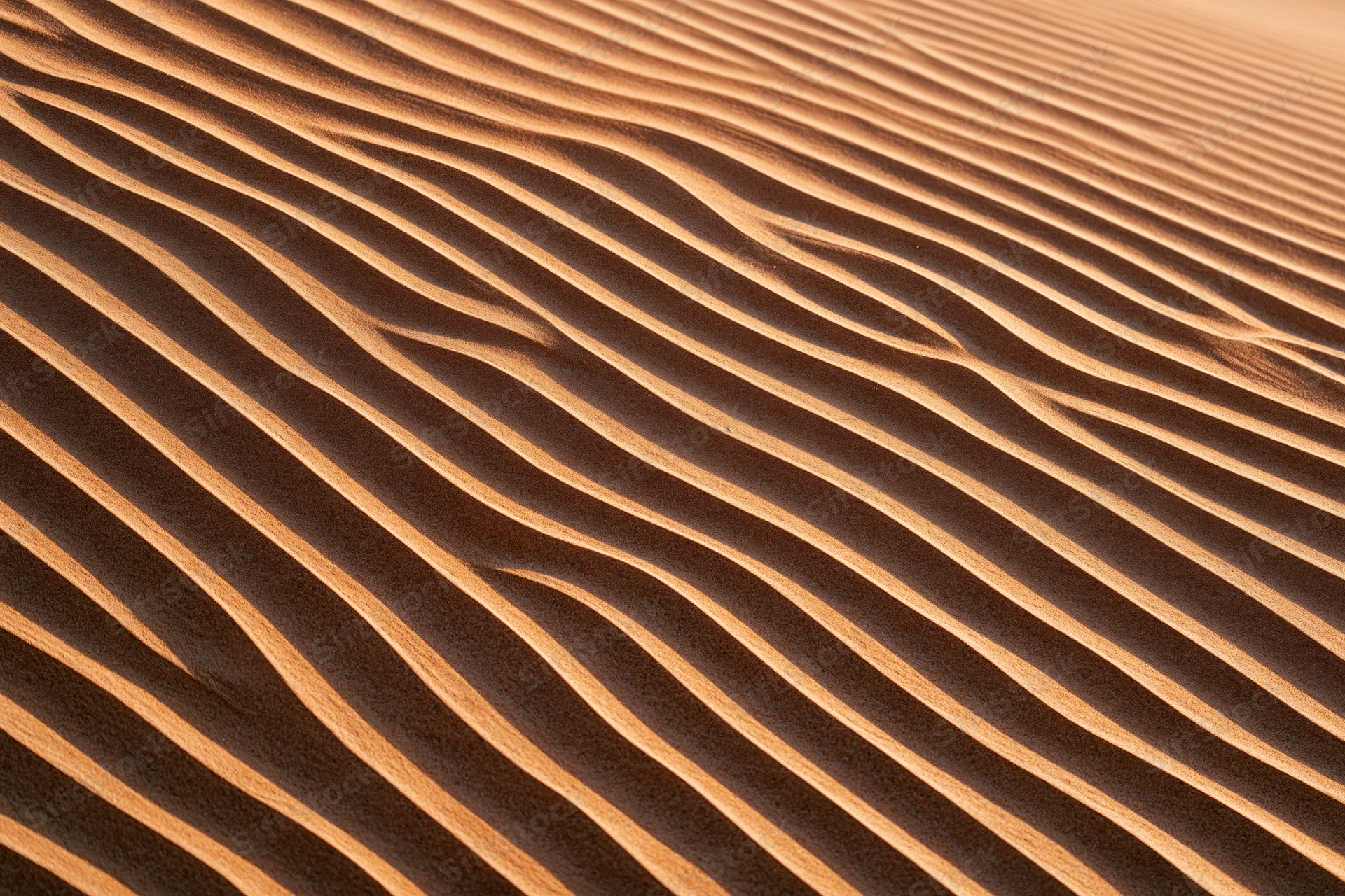 Wind-rippled sand dunes in a desert landscape viewed from above