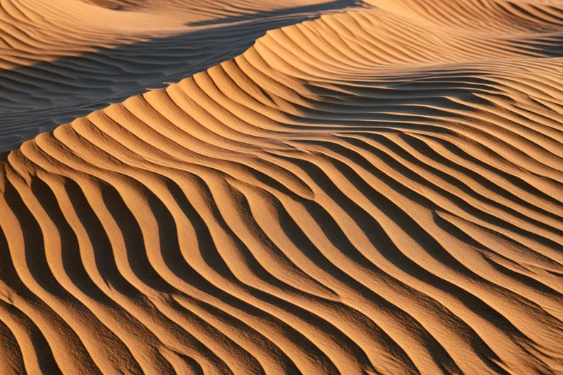 Wind-rippled sand dunes forming undulating patterns in a desert landscape