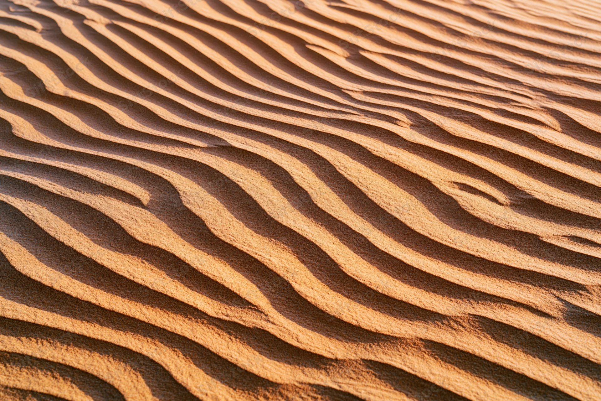Wind-rippled sand dunes forming natural patterns in desert landscape