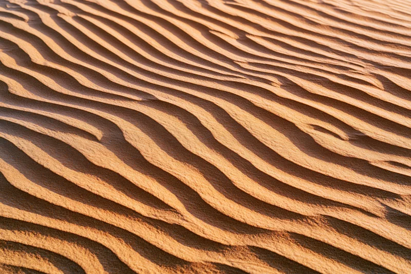 Wind-rippled sand dunes forming natural patterns in desert landscape