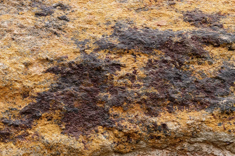 Close-up of weathered sandstone rock surface showing natural texture and color patterns