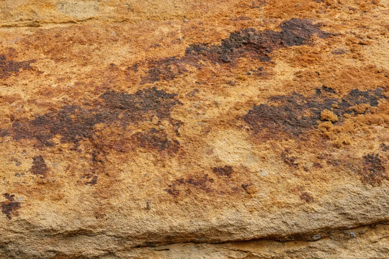 Close-up of weathered sandstone rock surface showing natural texture and erosion patterns