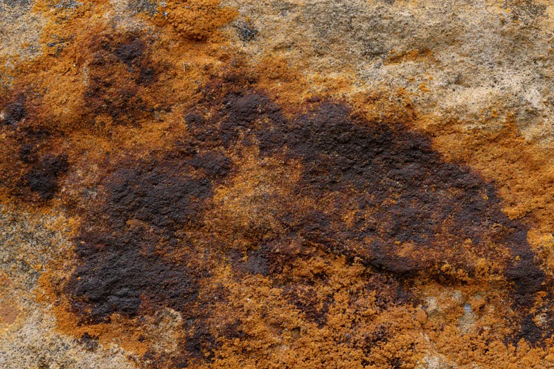 Close-up of weathered sandstone rock surface with orange and black lichen growth