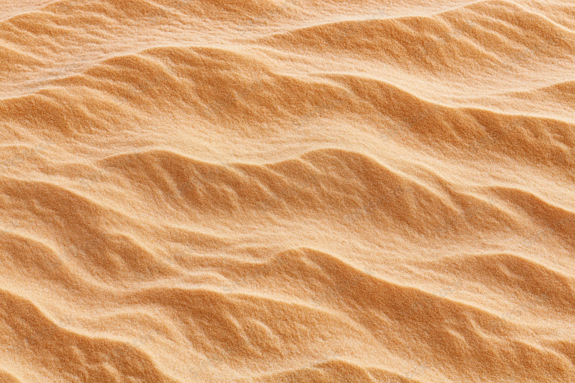 Close-up overhead view of rippled desert sand surface with natural texture and wind-formed patterns