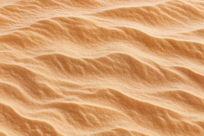 Close-up overhead view of rippled desert sand surface with natural texture and wind-formed patterns