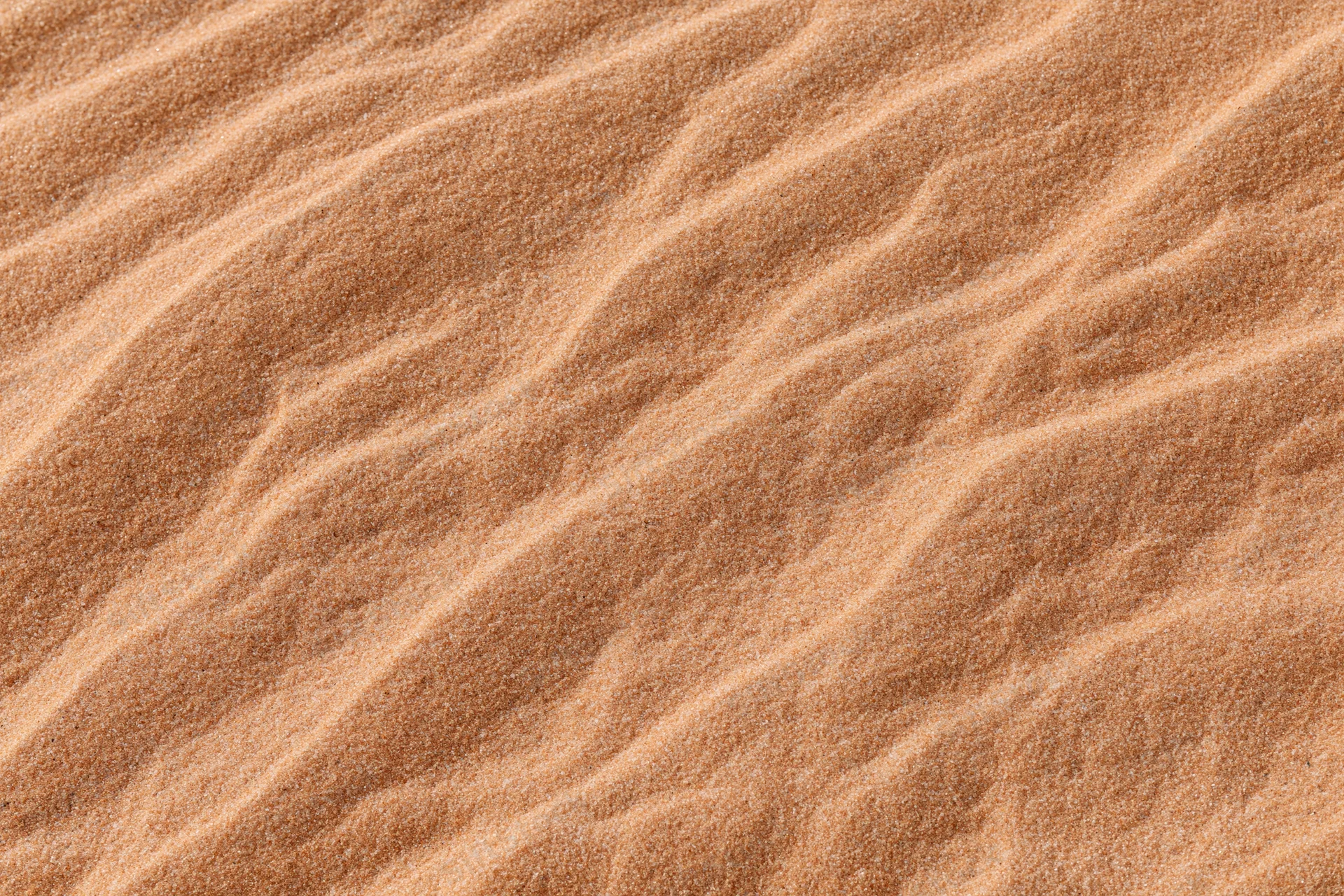 Close-up overhead view of rippled desert sand surface
