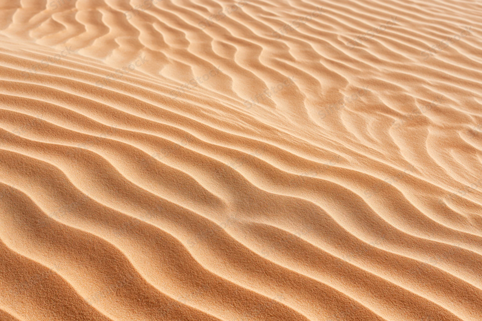 Close-up overhead view of rippled desert sand surface