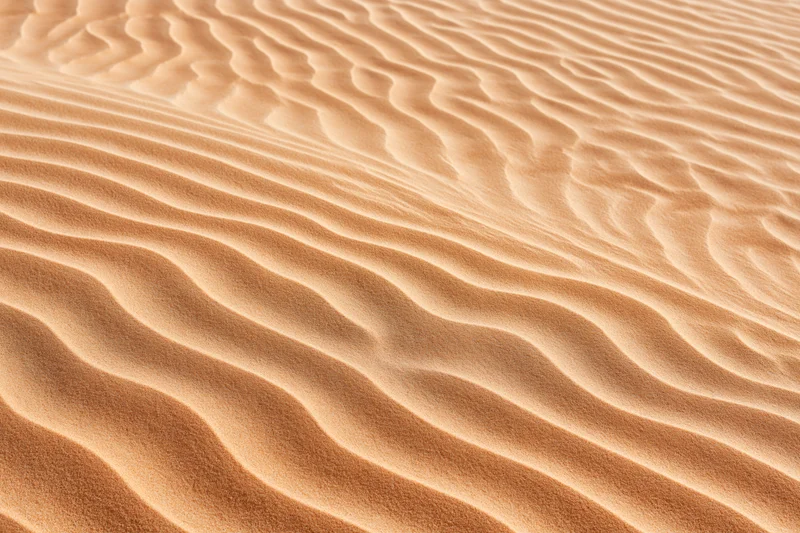 Close-up overhead view of rippled desert sand surface