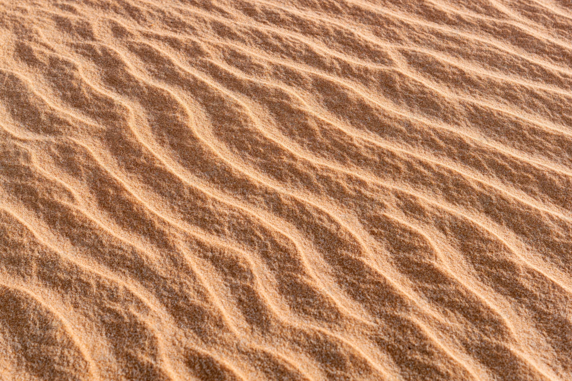 Close-up of rippled sand surface in desert landscape