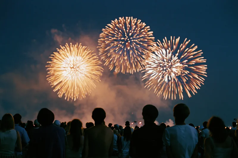 Silhouetted crowd watching fireworks in the night sky outdoors