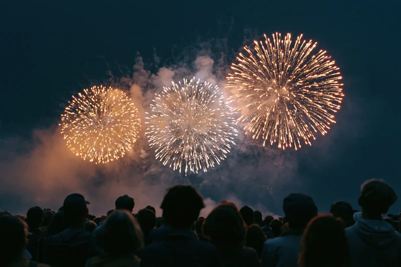 Crowd of people watching fireworks in the night sky outdoors