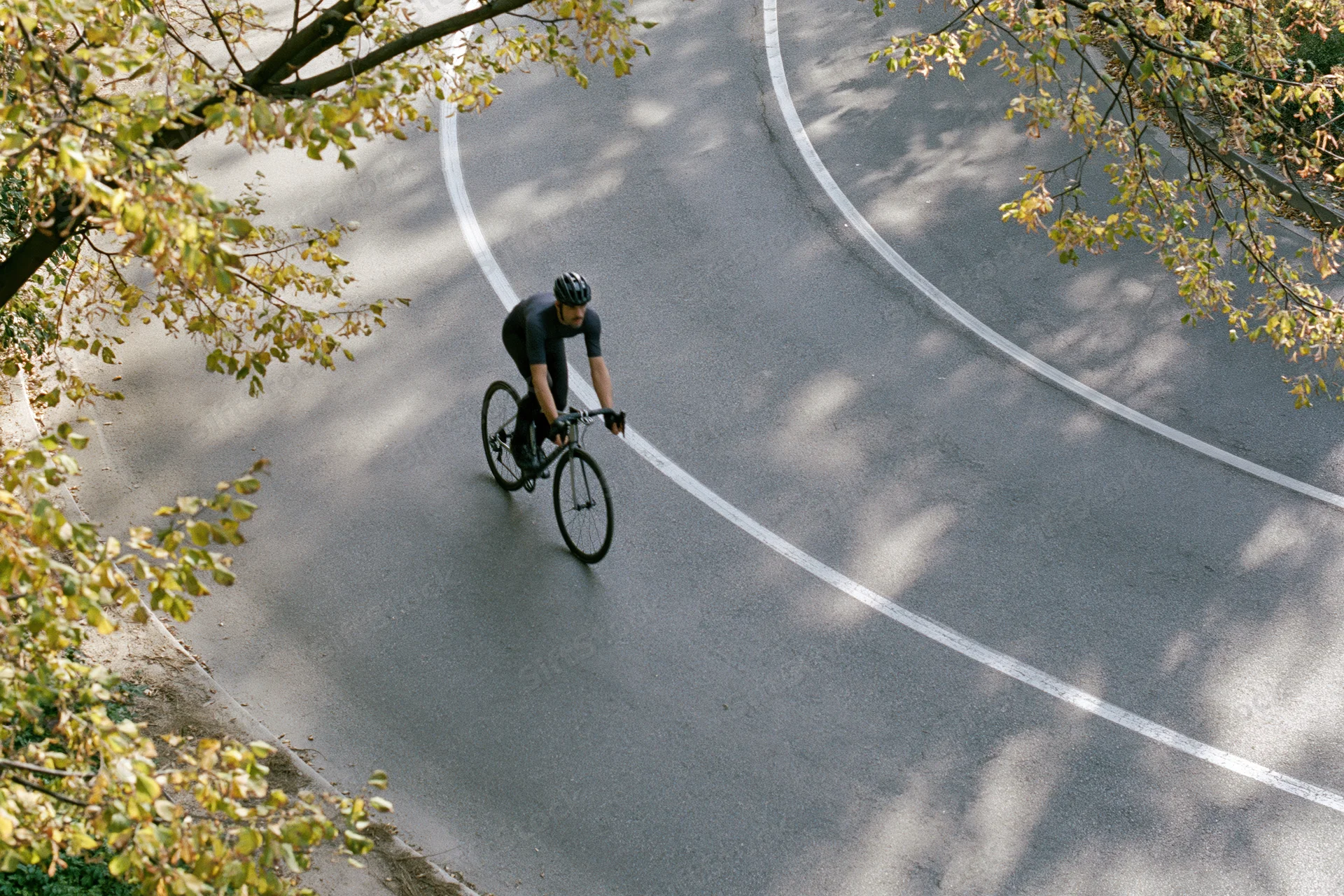 Man riding a road bike along a curved asphalt path under trees