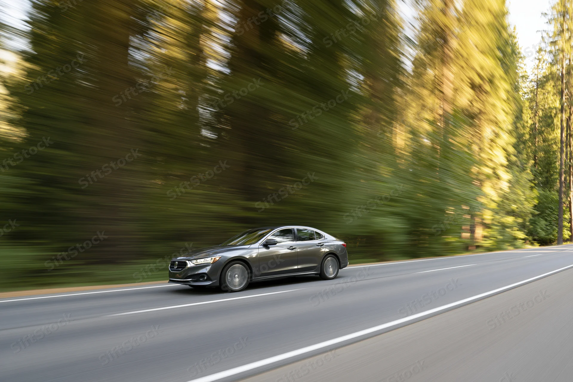 Dark silver sedan driving fast along a two-lane forest road