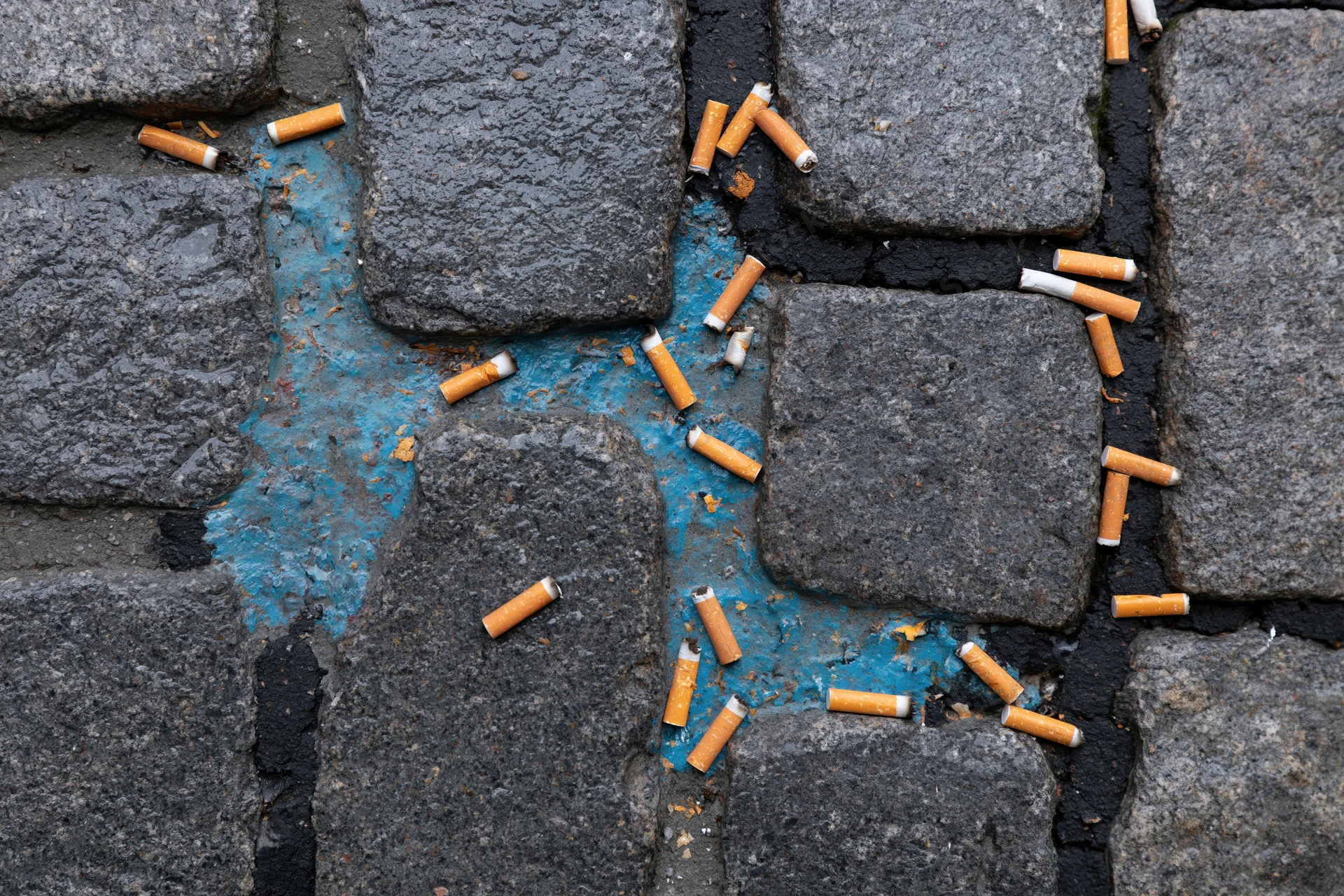 Discarded cigarette butts scattered across wet dark granite pavement