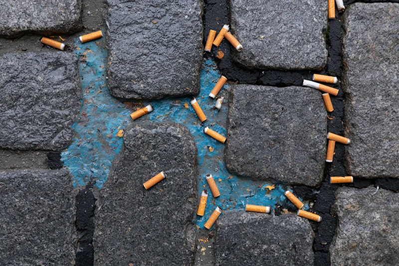 Discarded cigarette butts scattered across wet dark granite pavement