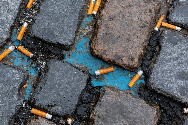 Discarded cigarette butts scattered across wet dark granite pavement
