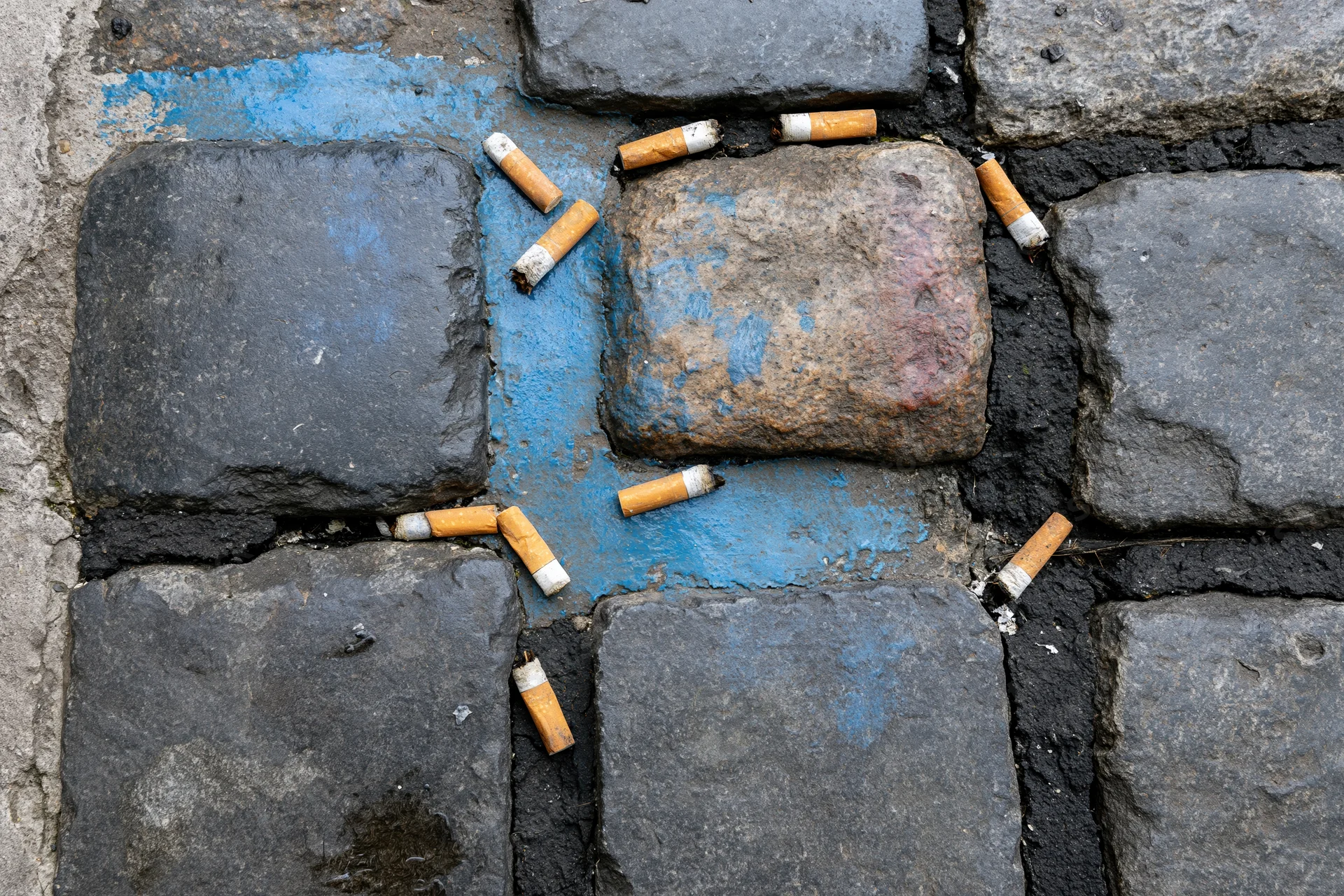 Discarded cigarette butts scattered across wet granite cobbles